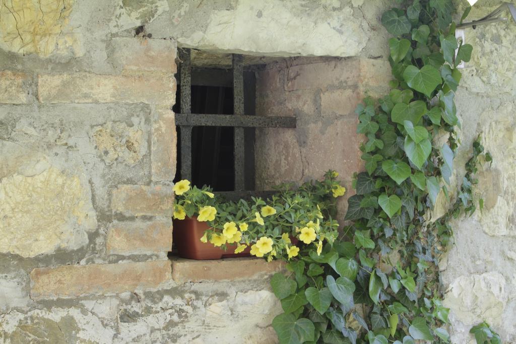 Vila I Pianelli Murlo Exteriér fotografie